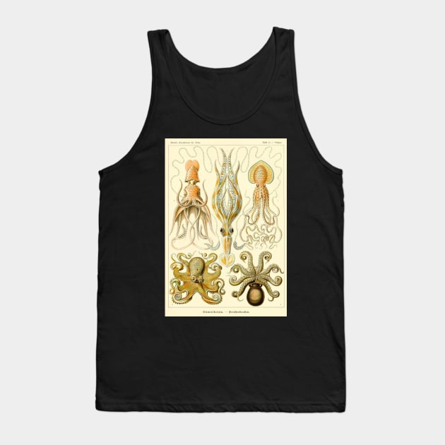 Squid Octopus Marine Biology Science Illustration Cephalopod Tank Top by twizzler3b